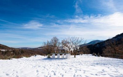 Flower House Winter 2019