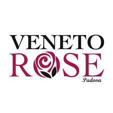 veneto rose padova