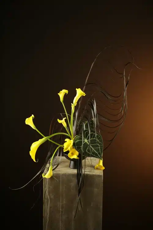 Floral Journey: Med-Asian