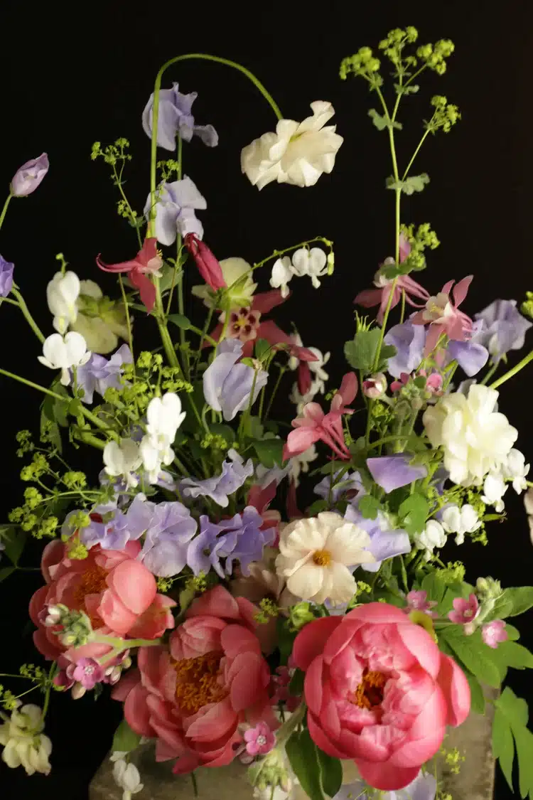 Floral Journey: Med-Asian